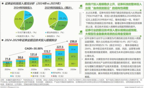 2025年中國金融科技（FinTech）行業發展洞察報告 信息技術咨詢服務的機遇與挑戰